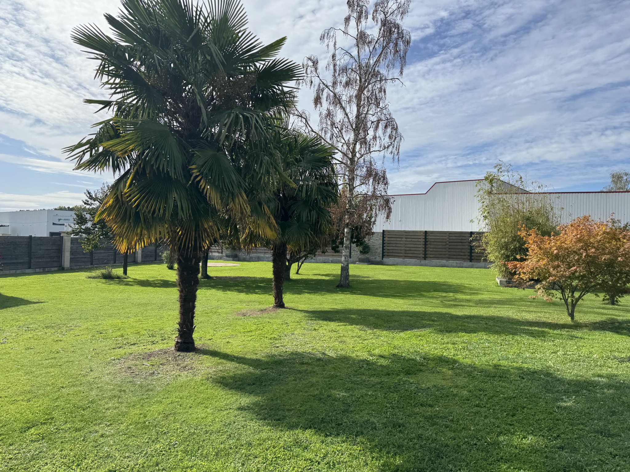 Vue jardin salle de réunion