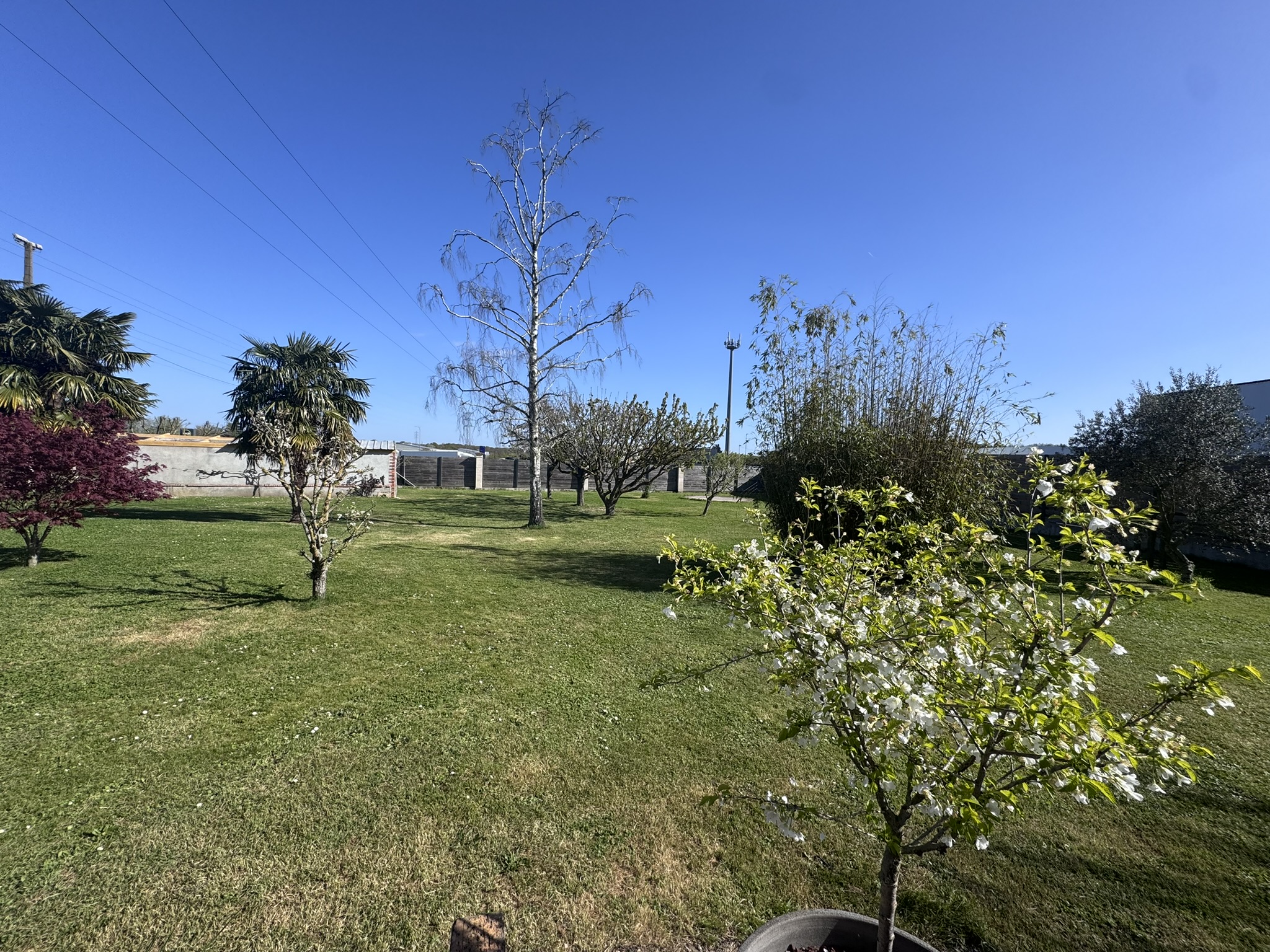 6. VUE PARC DOMAINE DU BON PUITS